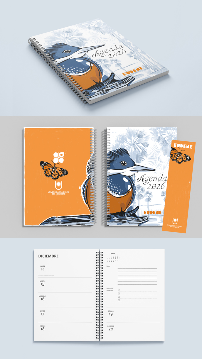 Tapa Entiendo pero no hablo